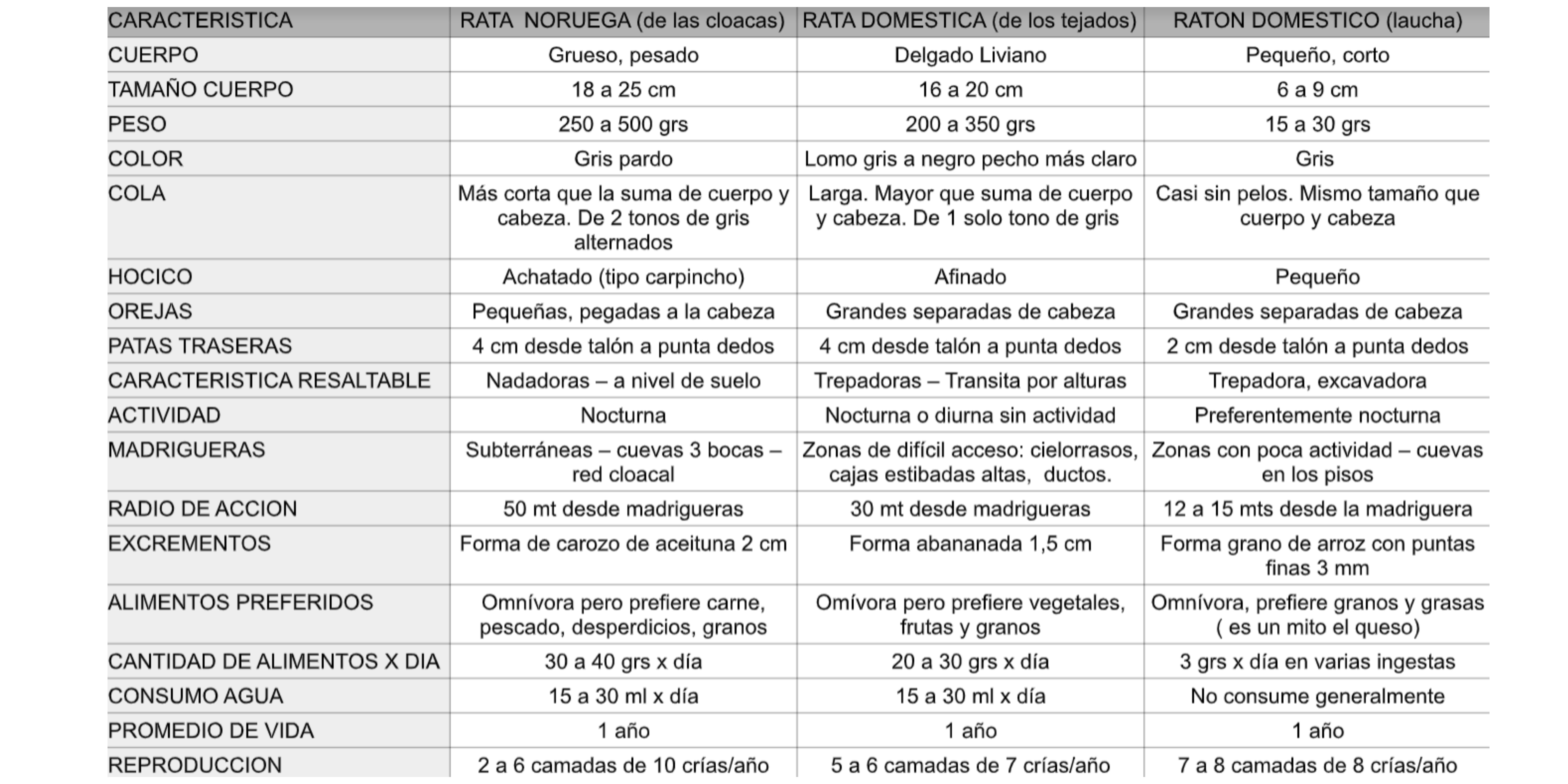 Tabla comparativa de Ratón doméstico, Rata doméstica y Rata de las cloacas.